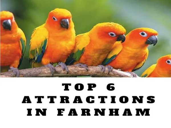 Top 6 attractions in Farnham