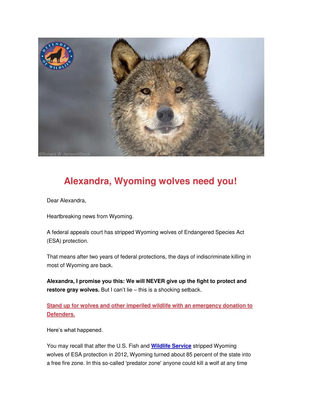 alexandra wyoming wolves need you
