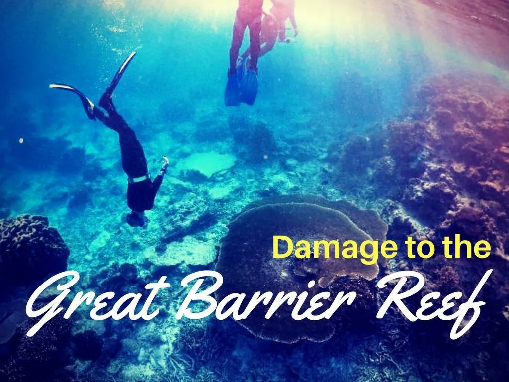 harm to the great barrier reef