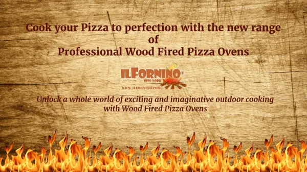 Professional Wood Fired Pizza Oven