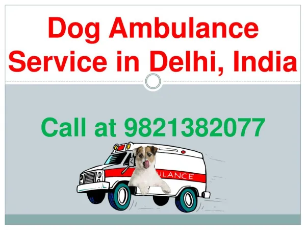 Dog Ambulance Service in Delhi, India | Call at 9821382077