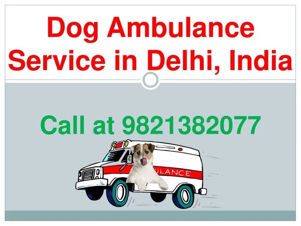 dog ambulance service in delhi india call
