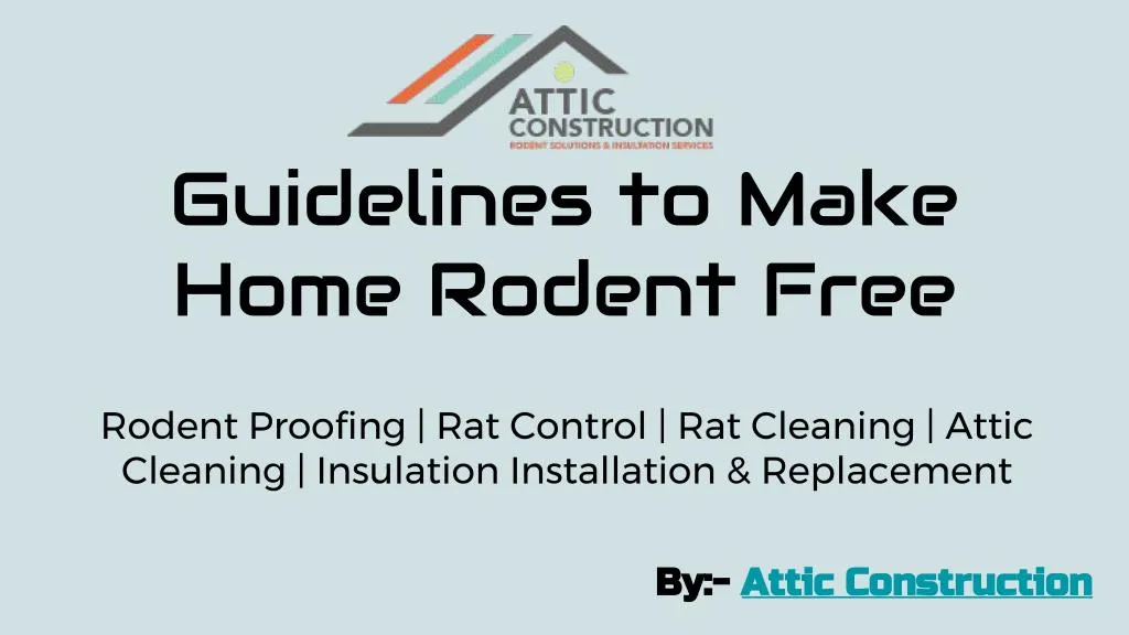 guidelines to make home rodent free