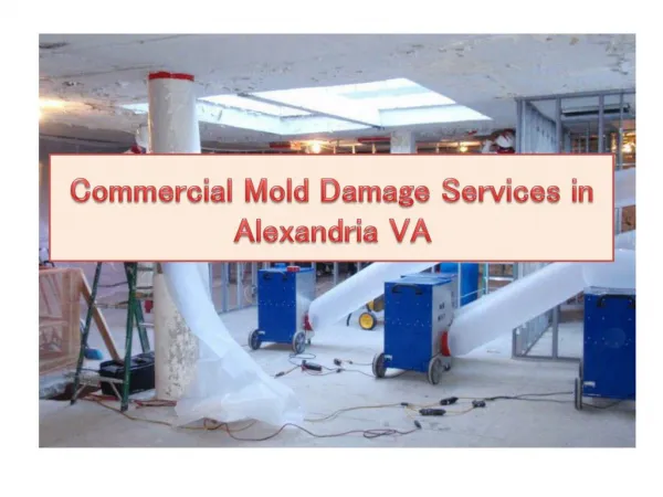 Commercial Mold Damage Services in Alexandria VA