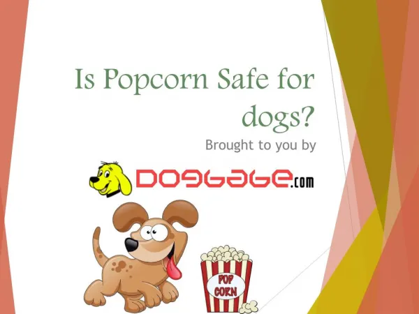 Is Popcorn Safe for dogs?