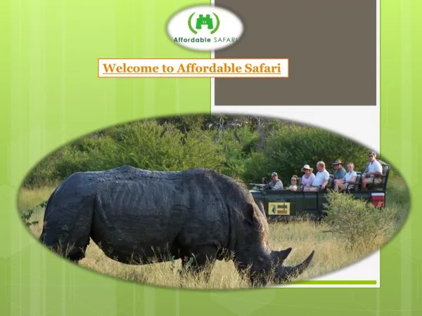 Welcome to Affordable Safari