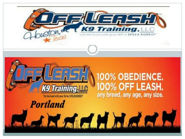 Dog Trainers Services in Portland Oregon