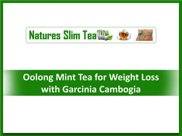 Oolong Mint Tea for Weight Loss with Garcinia Cambogia