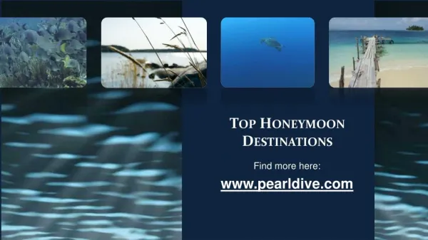 Top Honeymoon Destinations.