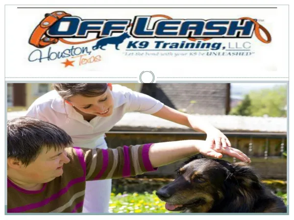 Best Dog Training Services in Fairfax Va