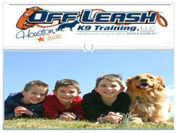 Dog training Services in Baton Rouge Louisiana