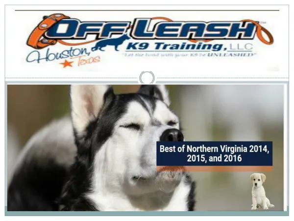Dog Trainers in Northern Virginia USA