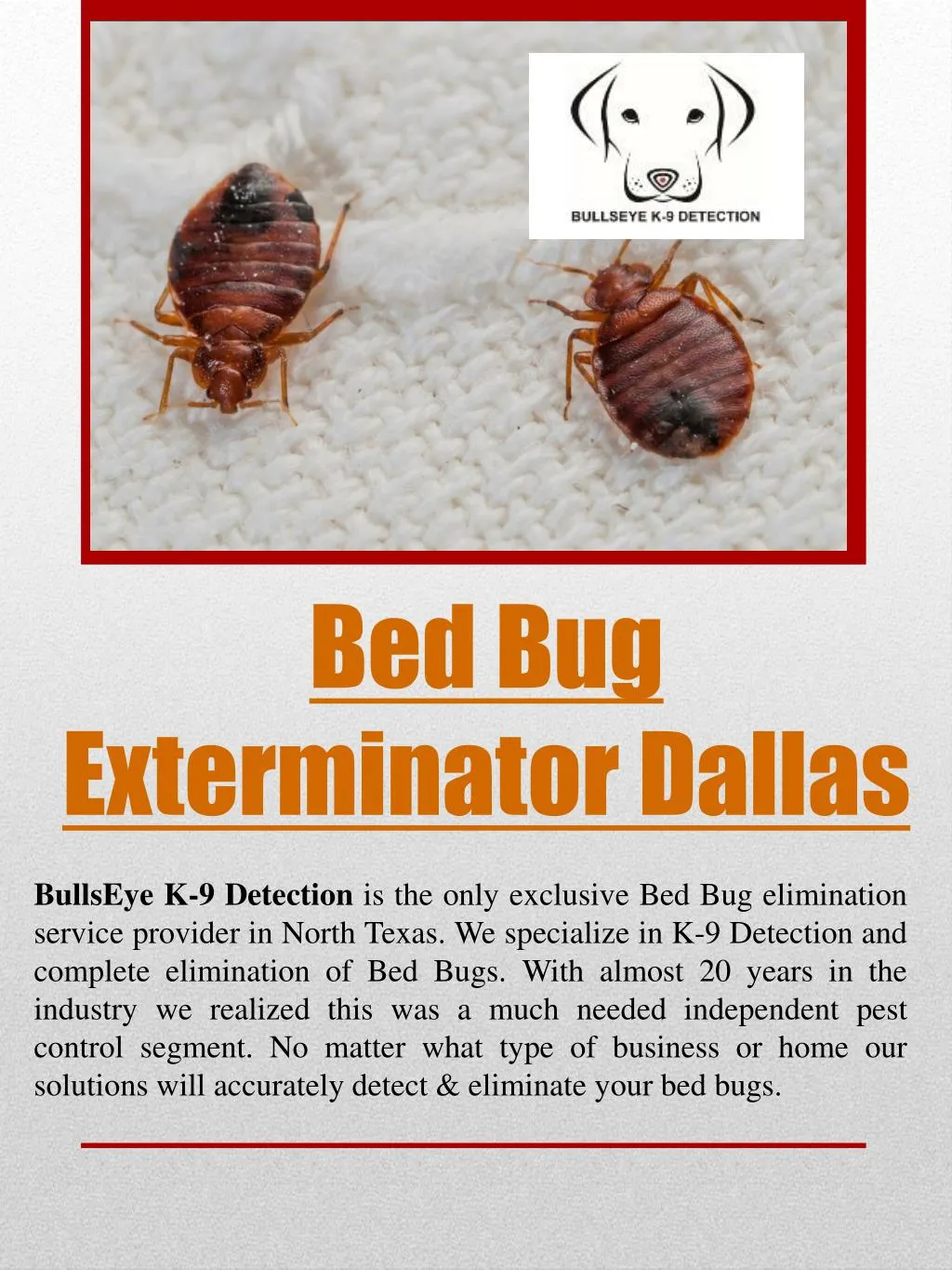bed bug exterminator dallas