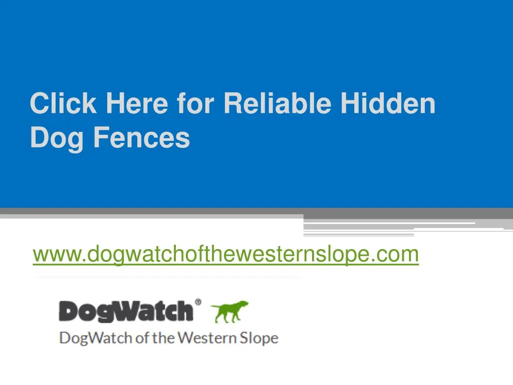 click here for reliable hidden dog fences