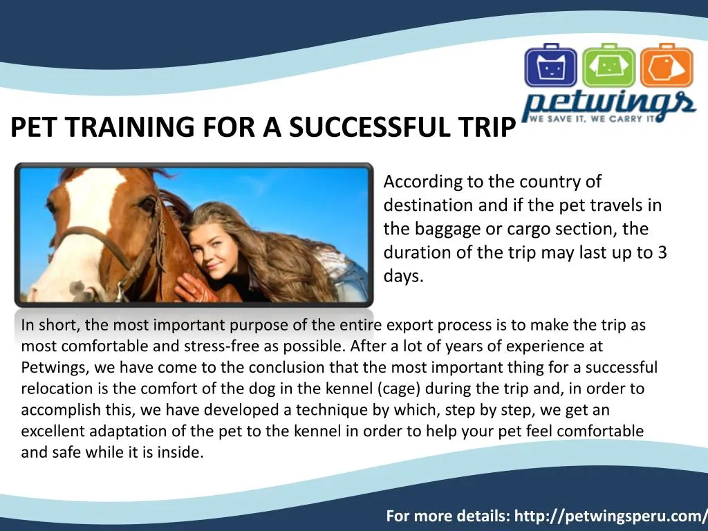 pet training for a successful trip