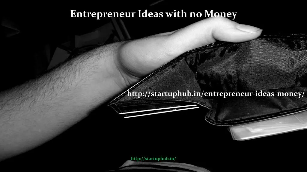 entrepreneur ideas with no money
