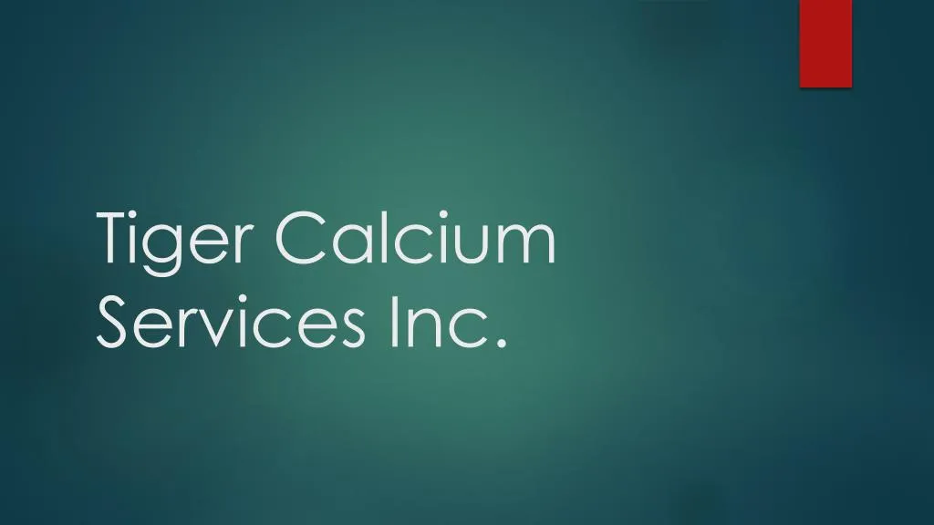tiger calcium services inc