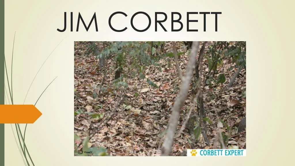 jim corbett