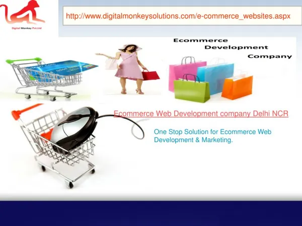 Ecommerce Web Development Company Delhi NCR