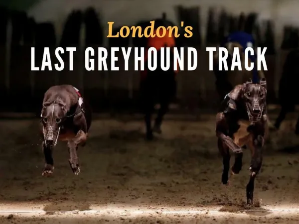 London's last greyhound track