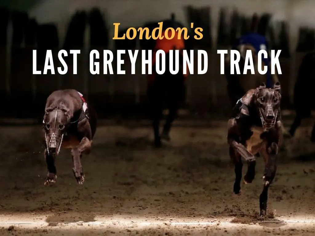 london s last greyhound track