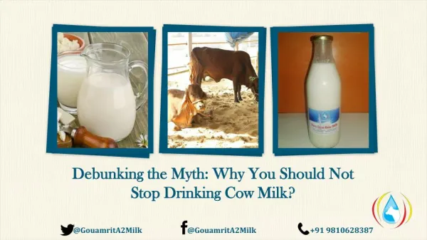 Debunking the Myth: Why You Should Not Stop Drinking Cow Milk?