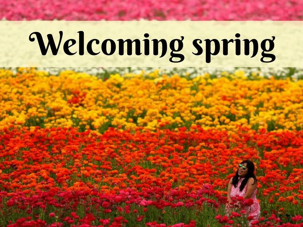inviting spring
