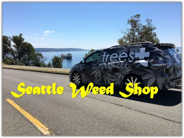 Weed Shop in Seattle