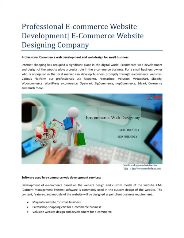 Professional E-commerce Website Development| E-Commerce Website Designing Company