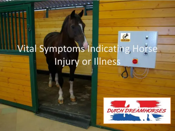 Vital Symptoms Indicating Horse Injury or Illness