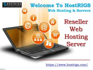 Reseller Web Hosting Companies | Reseller Web Hosting- HostRIGS - slide 1