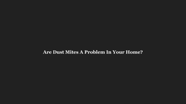 Are Dust Mites A Problem In Your Home?