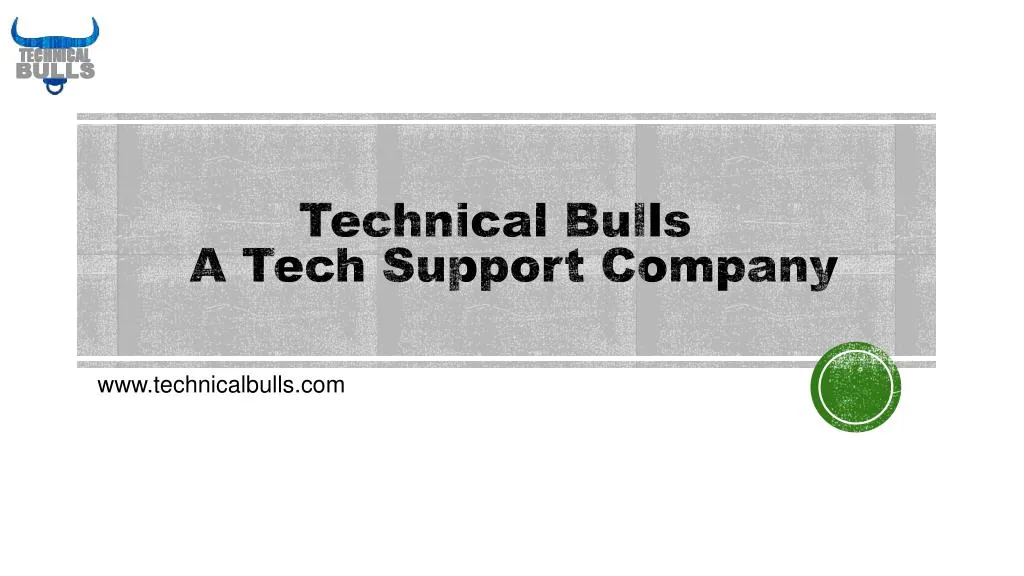 technical bulls a tech support company