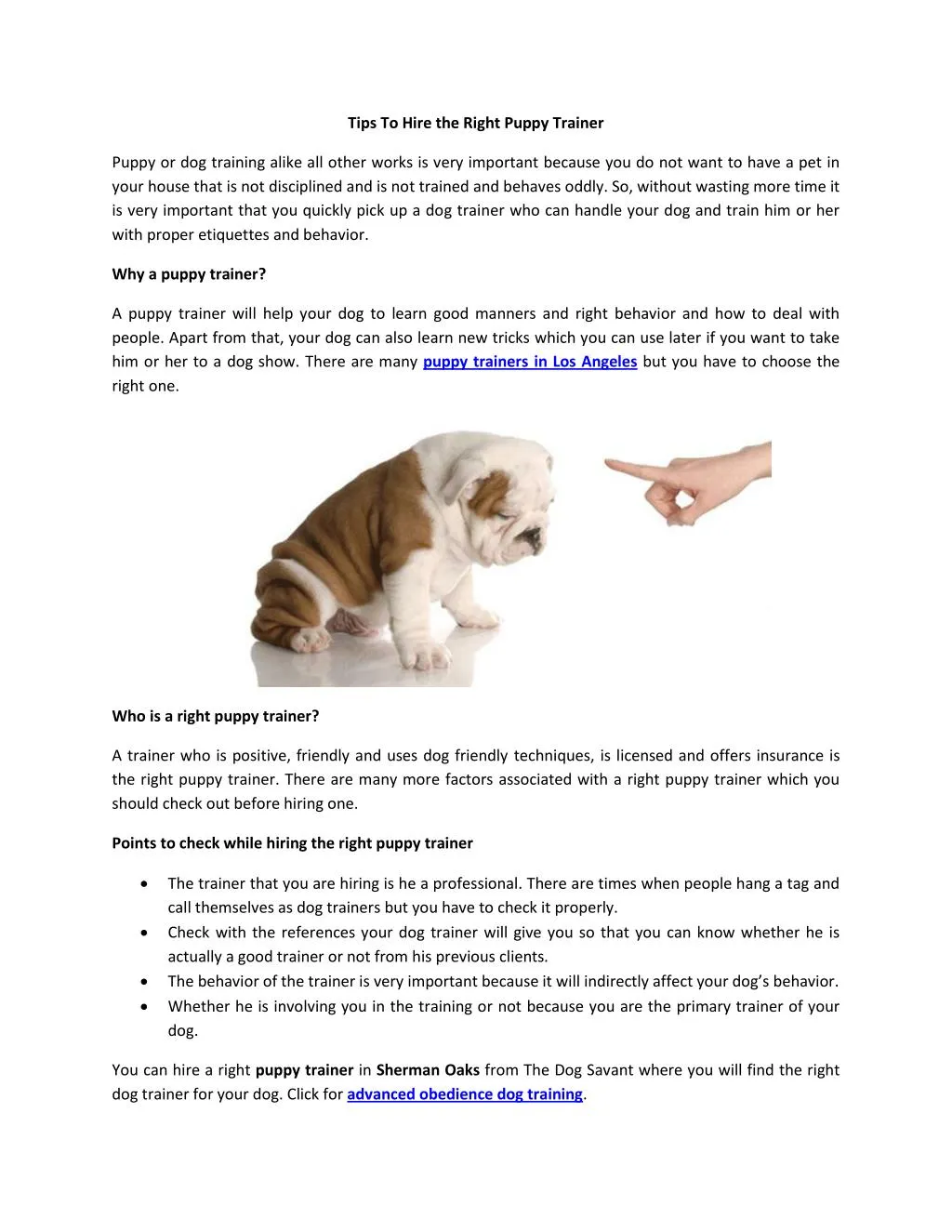 tips to hire the right puppy trainer