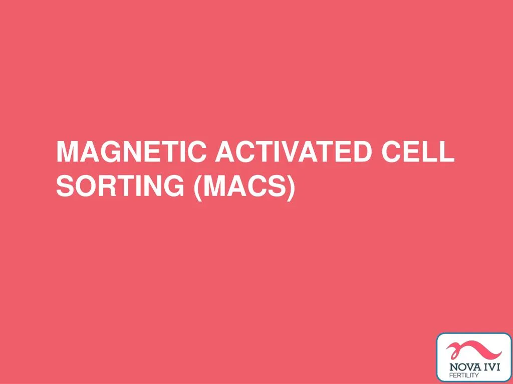 magnetic activated cell sorting macs