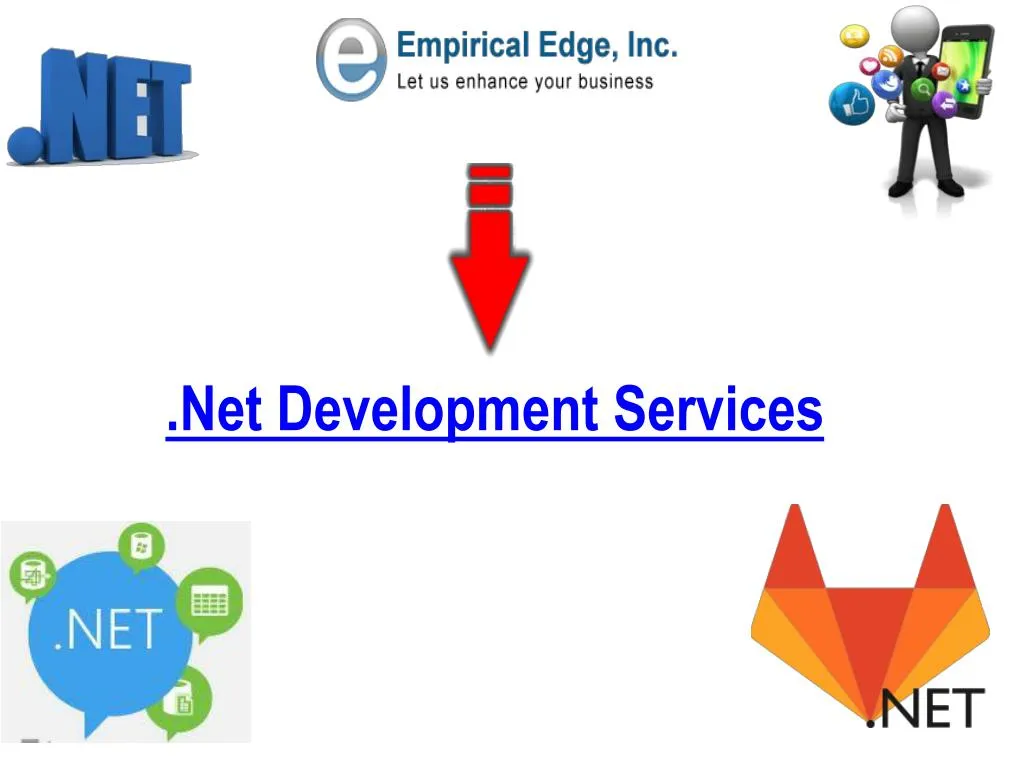 net development services
