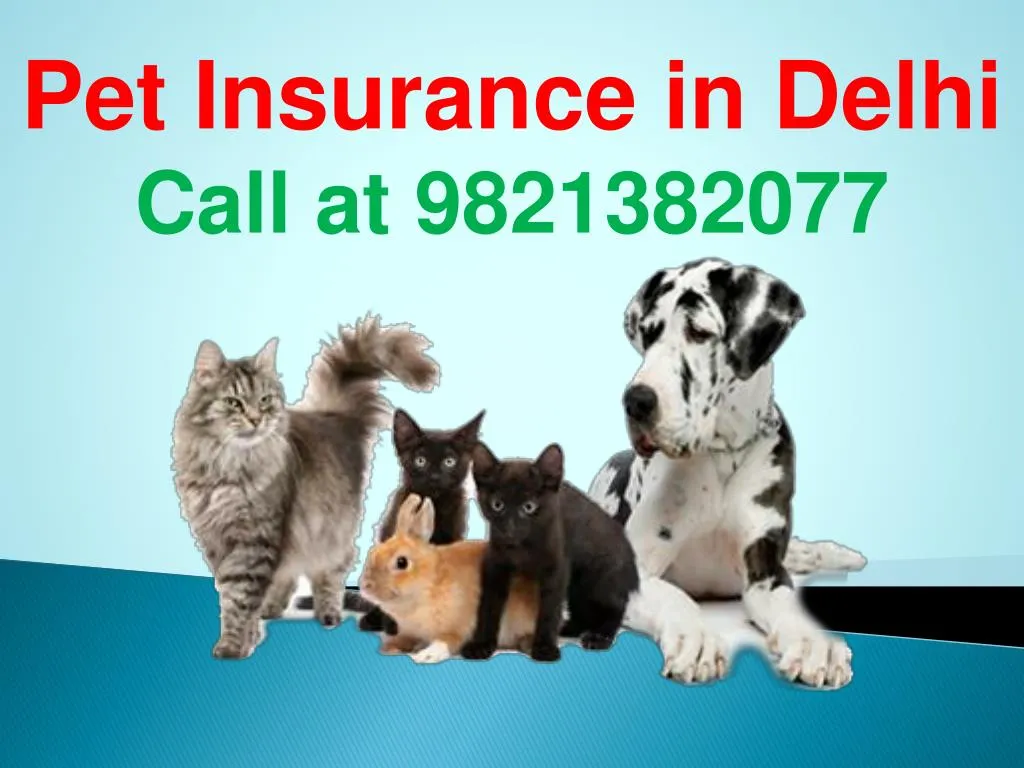 pet insurance in delhi call at 9821382077