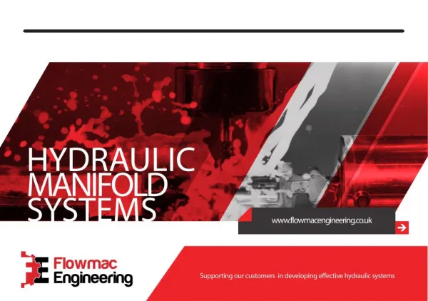 Standard Hydraulic Manifold Systems in Stainless Steel