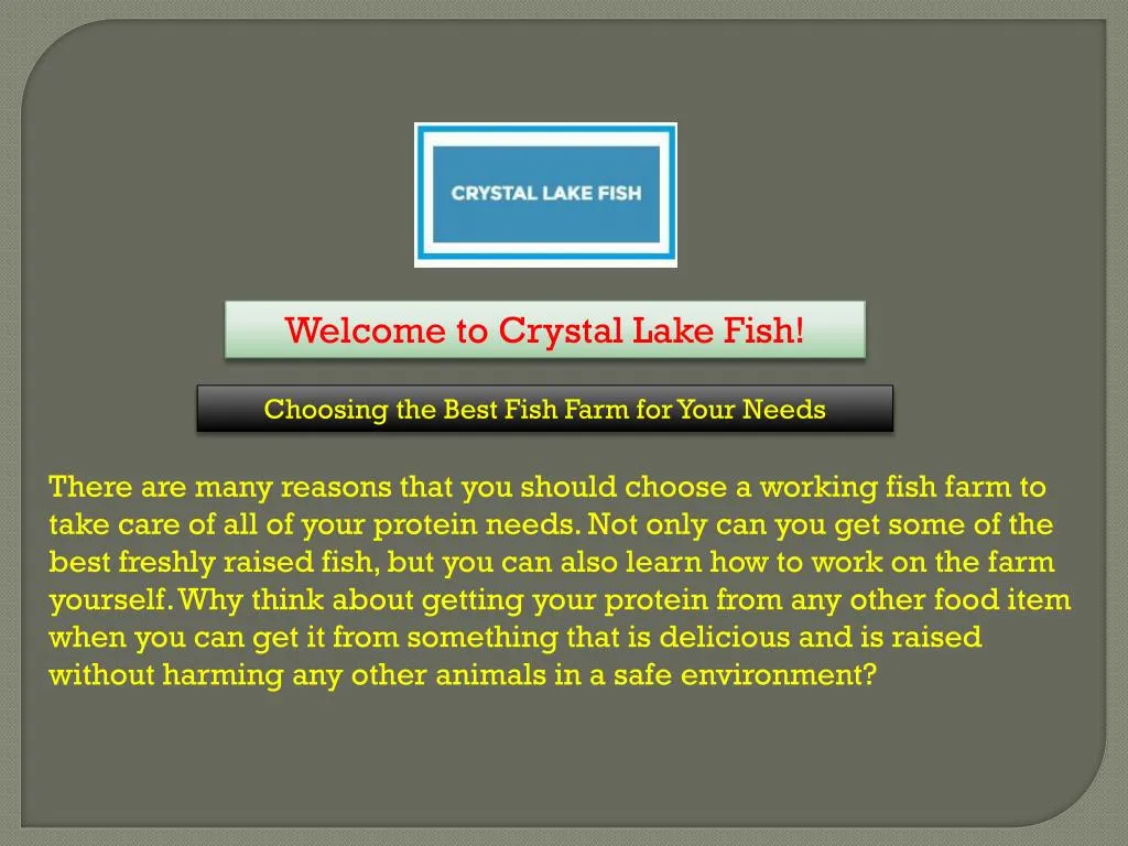 welcome to crystal lake fish