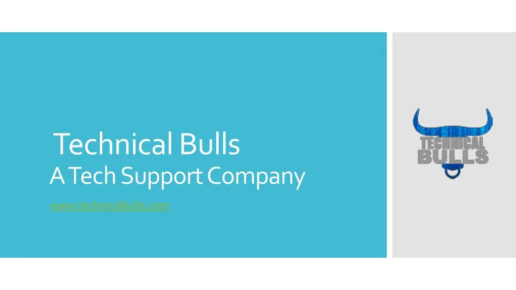 technical bulls a tech support company