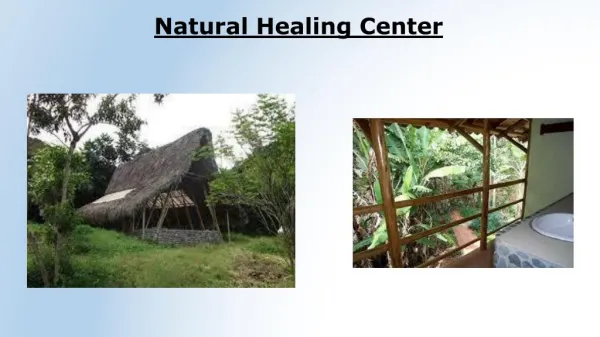 Natural Healing Center-Thegardenofforgetfulness.com