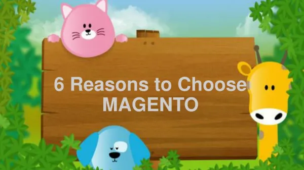 6 Reasons to Choose MAGENTO