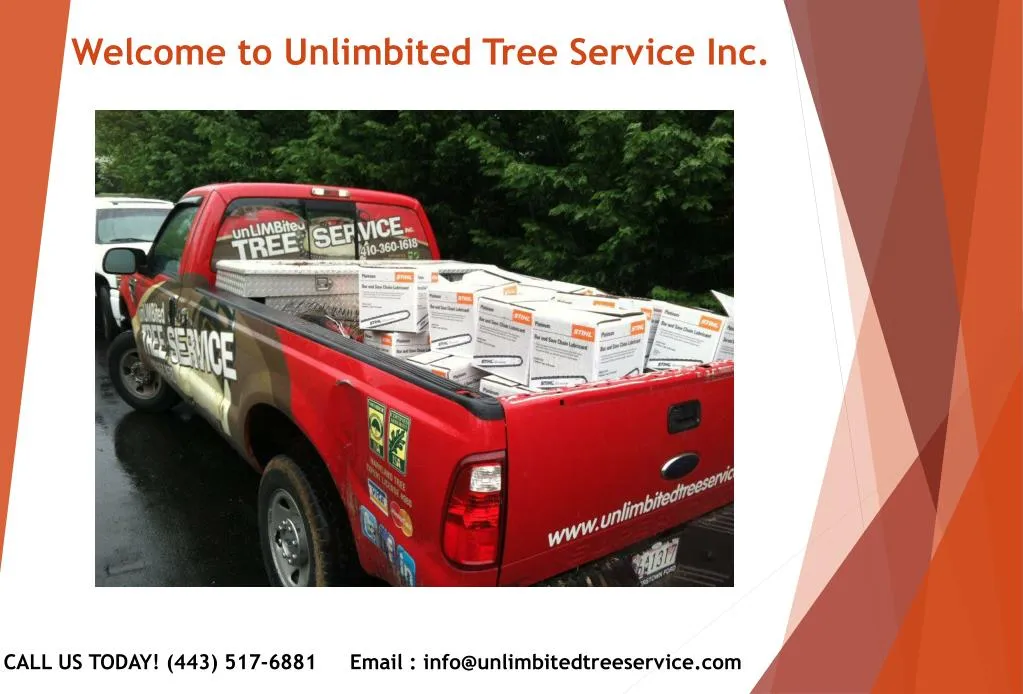 welcome to unlimbited tree service inc
