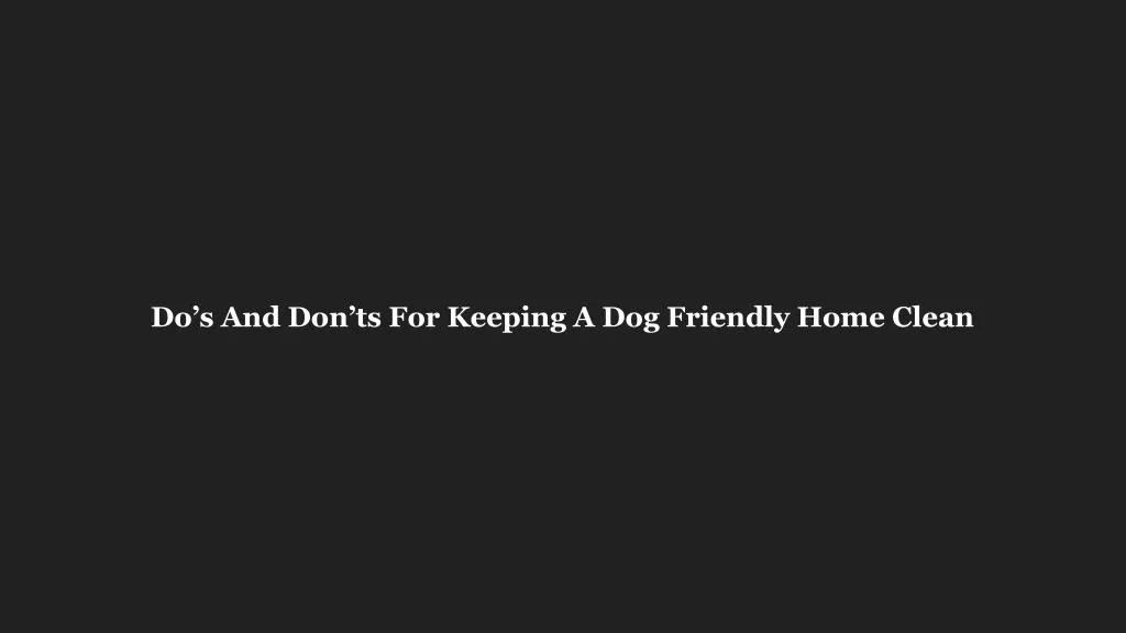 do s and don ts for keeping a dog friendly home