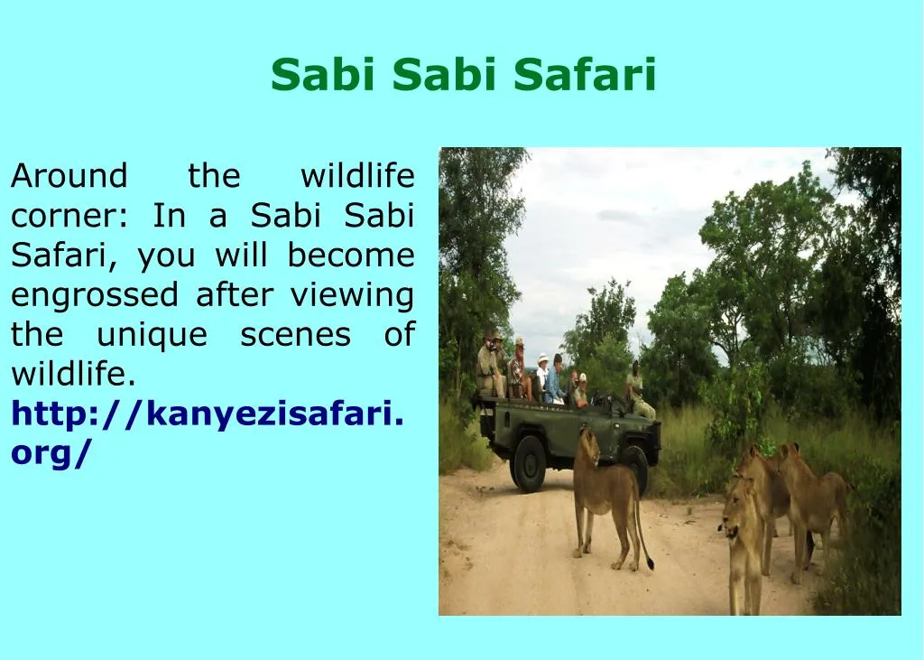 sabi sabi safari