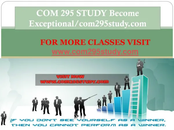 COM 295 STUDY Become Exceptional/com295study.com