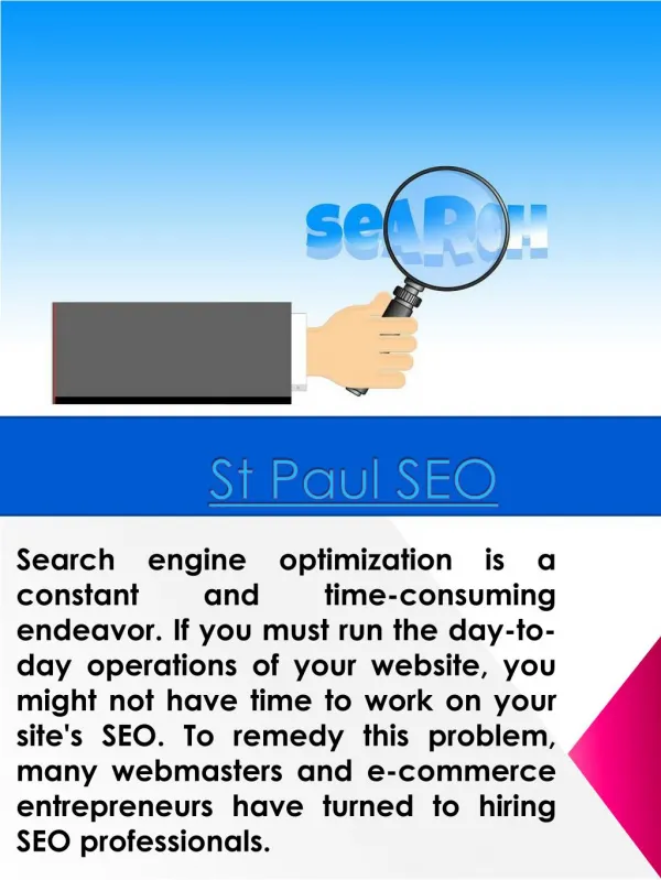 SEO Edina MN