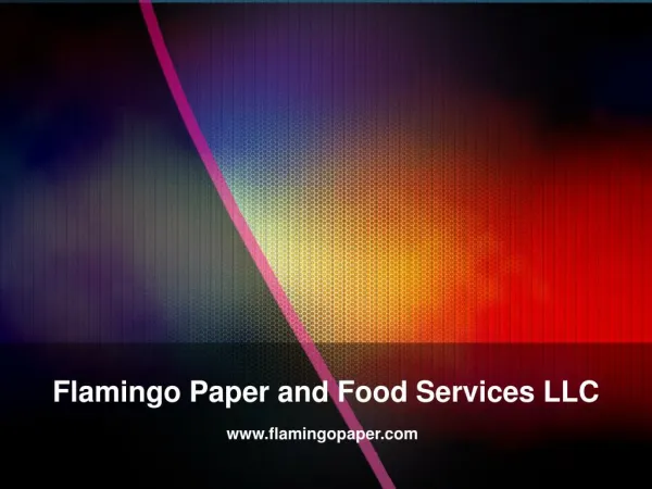 Premium Disposable Tableware Solutions - www.flamingopaper.com