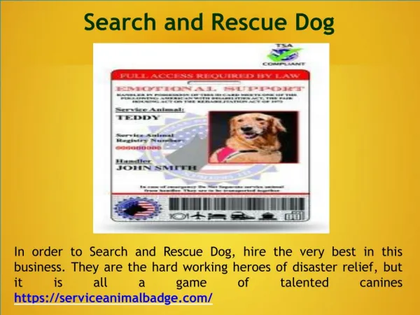 Autism Service Dog ID card