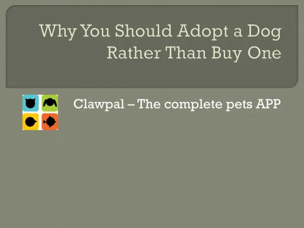 Why You Should Adopt a Dog Rather Than Buy One